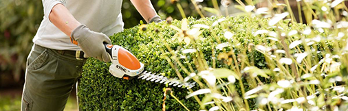 Les tailles-haies sont sur Sobrico